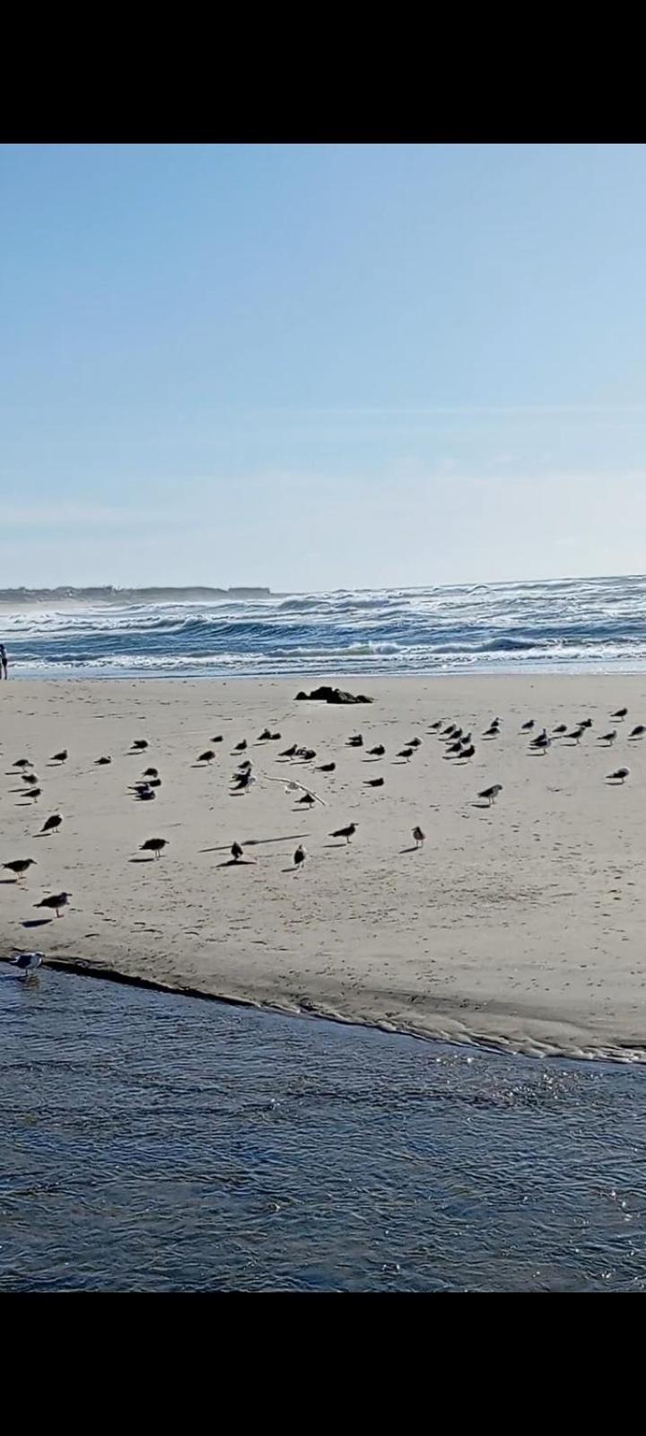 Atico Maravilloso En Cangas , Vigo Esterno foto